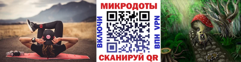 Псилоцибиновые грибы Psilocybe  Цимлянск 